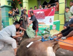 Pengurus Masjid Hayyalfalah Kampung Gaddea Sembelih 7 Hewan Kurban, Termasuk dari Keluarga  Gubernur Kaltim dan Polres Bulukumba