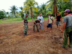 Personel Koramil 1411-07 Herlang bersama Masyarakat Tanam 50 Ponon Mahoni
