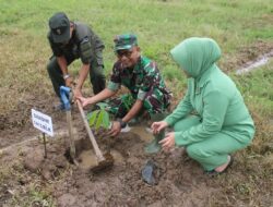 Mantap, Dandim 1411/Bulukumba Pimpin Penanaman Pohon di Bulukumba