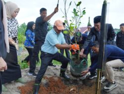 Bupati Andi Utta Gencar Penghijauan dengan Pohon Buah-Buahan 