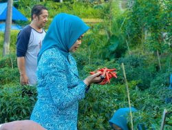 Inovasi GEMOIH Lolos Ikut Kompetisi Internasional Sektor Publik COPSI Award 2025