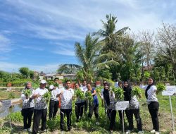Kalapas Bulukumba Ikut Memanen  di Lahan Sarana Asimilasi dan Edukasi Milik Lapas