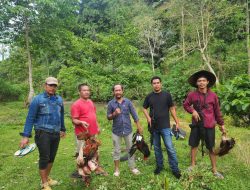 Cegah Praktik Judi, Polsek Kajang Gerebek Lokasi Sabung Ayam di Desa Sapanang