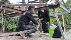 Gerak Cepat  Totalitas Personel Brimob Polda Sulsel Kolaborasi Masyarakat Bangun Jembatan Gantung untuk Anak Sekolah di Soppeng
