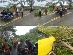 Gerak Cepat Polres Bulukumba Bersama BPBD Evakuasi Pohon Tumbang dan Beri Imbauan.