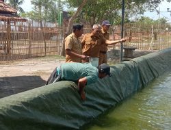 Sekda Tinjau Kolam Percontohan Nila di Pantai Merpati, Ini Harapannya