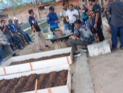 Mengubah Lahan Sempit Menjadi Lumbung Gizi, Sinergi Bapperida dan Dinas Perikanan dalam Gerakan MACINNA